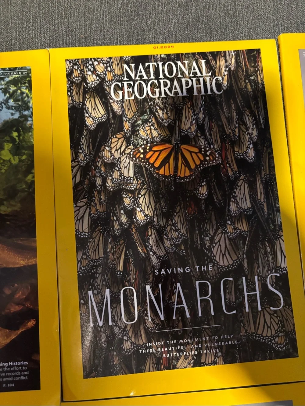 National Geographic Magazine Lot - 8 issues with animal themes